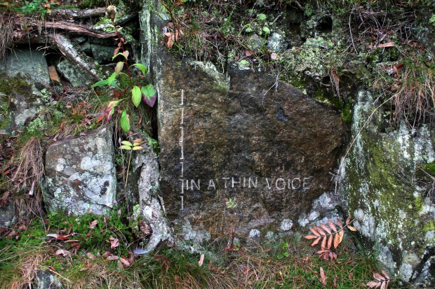 ekeberg_park_mushaboom8_sezenimg_8221