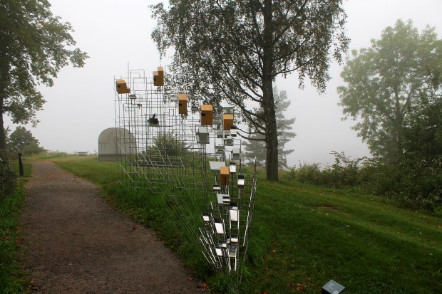 ekeberg_park_mushaboom8_sezenimg_8242