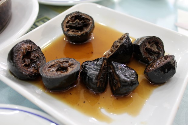 sütçü kenan_van_mushaboom8IMG_8509.JPG