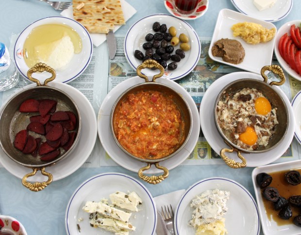 sütçü kenan_van_mushaboom8IMG_8513.JPG