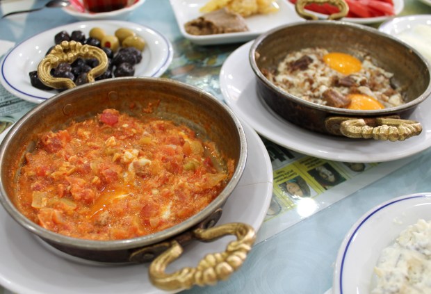 sütçü kenan_van_mushaboom8IMG_8514.JPG