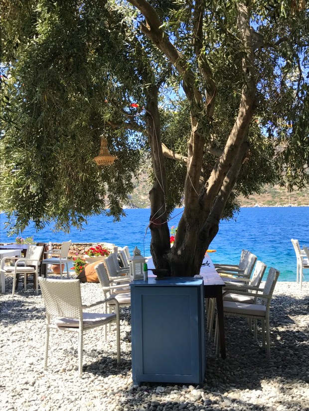 bozburun yat kulubü_bozburun_eylül2017IMG_2780.JPG