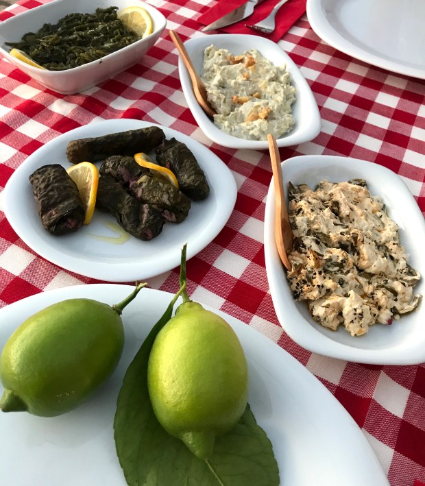 bozburun yat kulubü_bozburun_eylül2017IMG_2966-001.JPG