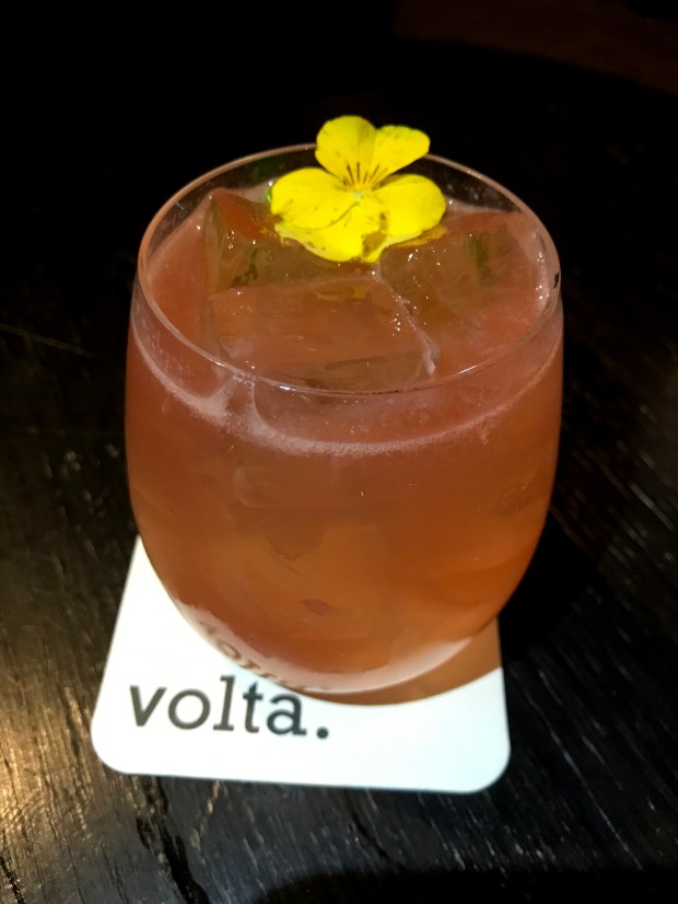 ghent_brussels_mushaboom8_sezen turkerIMG_8533.JPG