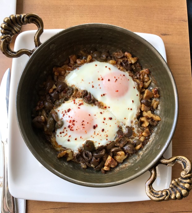 orkide pastanesi_antep_mushaboom8.JPG