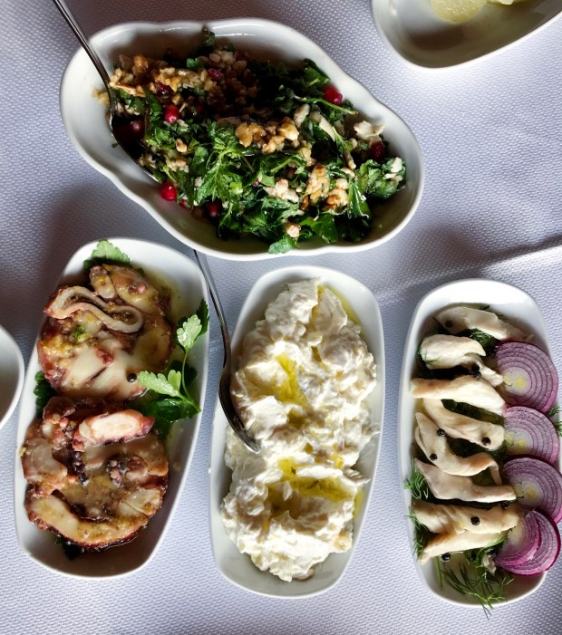 FullSizeRender 5.jpg