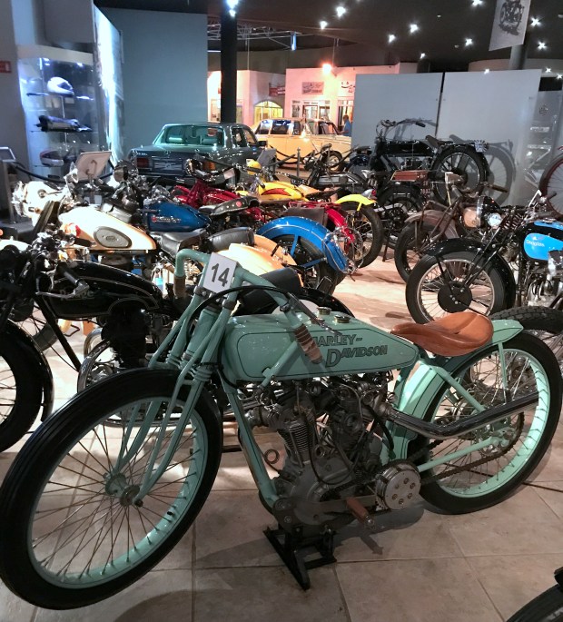 amman_mushaboom8_sezenturkerIMG_4812