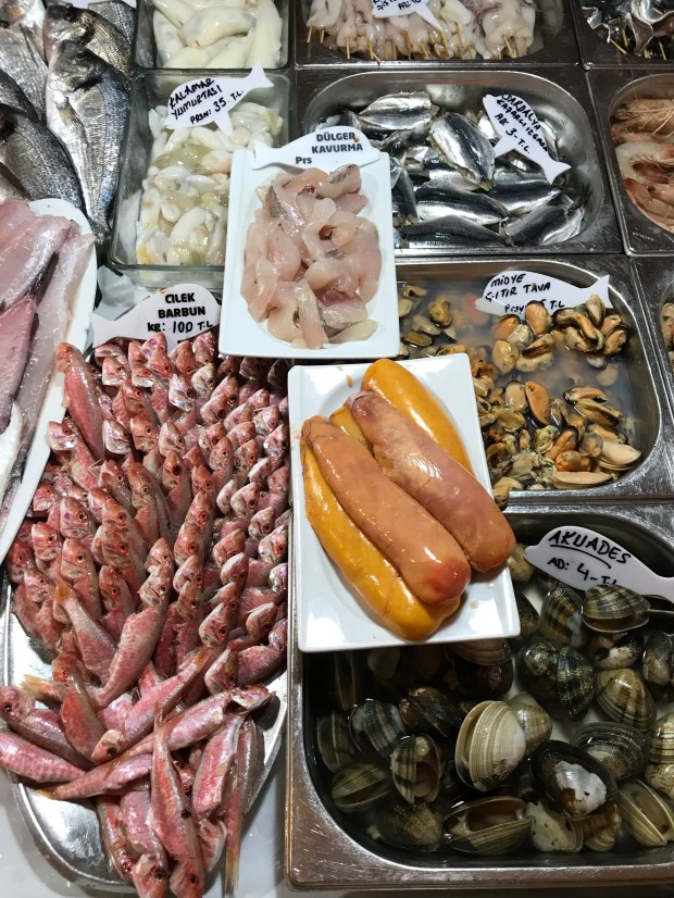 akının yeriIMG_1436.JPG