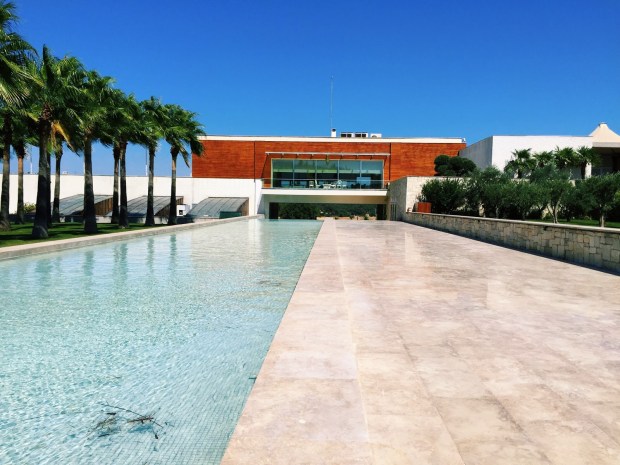 urla şarap bağlarıIMG_2015.JPG