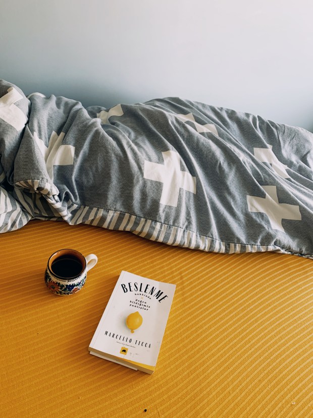 Created with RNI Films app. Preset 'Agfa Optima 200 v.3'