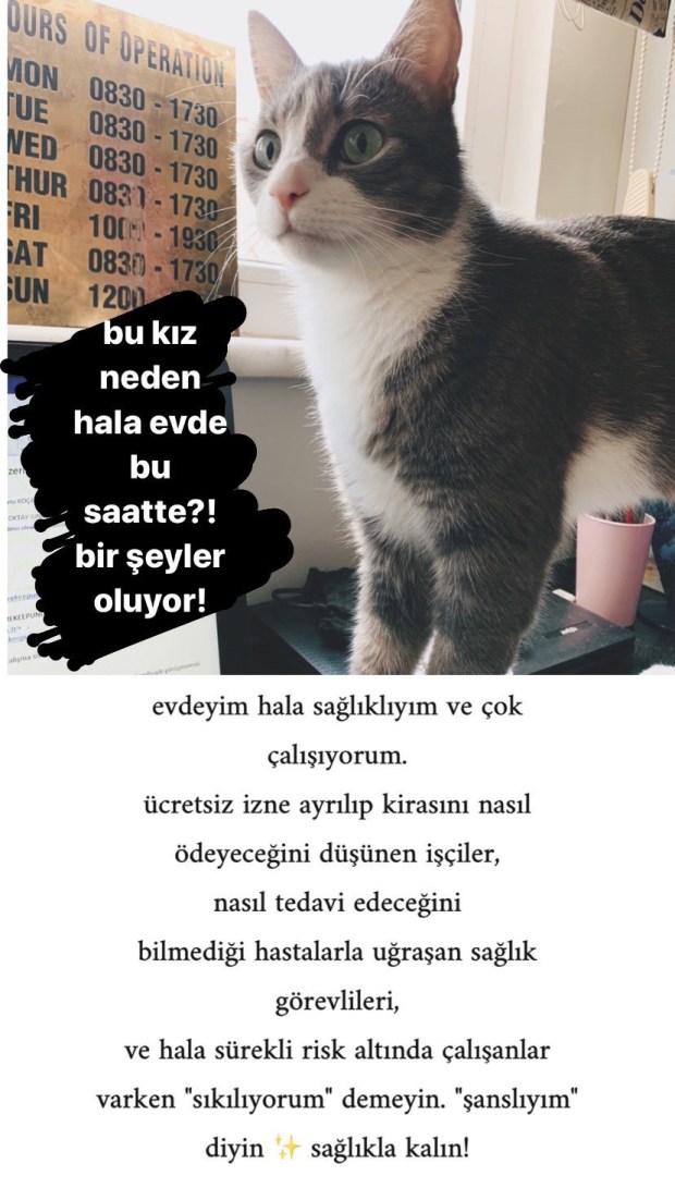 D5EF6A66-DBC4-4AA4-9E1E-B45B54296136