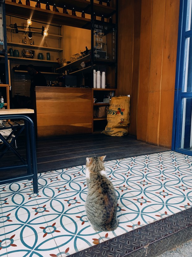 Created with RNI Films app. Preset 'Agfa Optima 200 v.3'