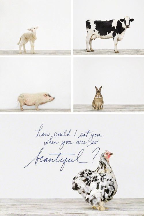 bfeb313b11f6c86669c650071949923b