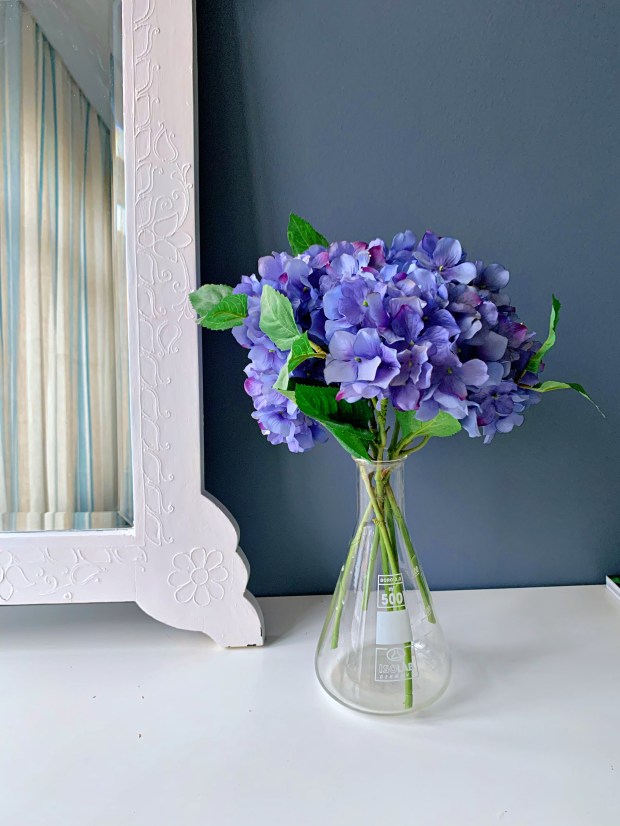 Created with RNI Films app. Preset 'Agfa Optima 200'