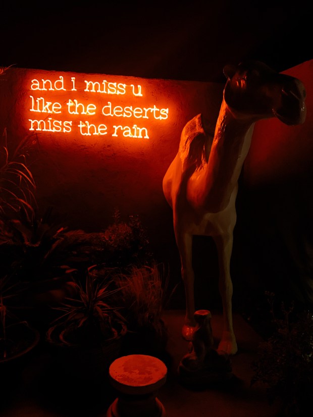 Processed with RNI Films. Preset 'Fuji Astia 100F v.2'