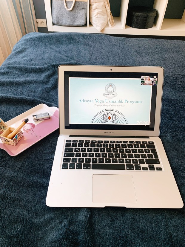 Created with RNI Films app. Preset 'Agfa Optima 200'